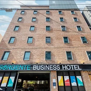 Hotel Sorgente Business